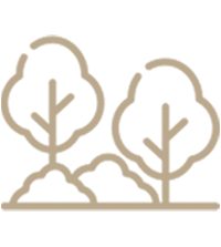 zengarden